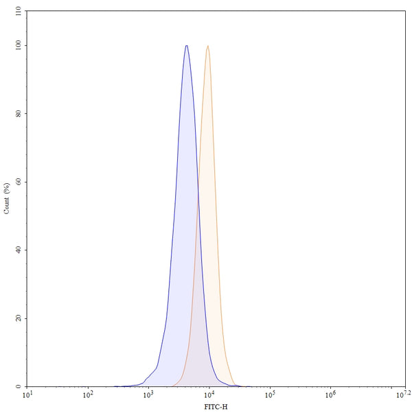 Flow-cytometry using FITC anti-human ADCYAP1R1 antibody. SH-SY5Y cells were stained with an irrelevant antibody (Blue Histogram) or an APC anti-human ADCYAP1R1 monoclonal antibody (Catalog: HW609117, Yellow Histogram) at a concentration of 5 µg/ml for 30 mins at RT. After washing, and cells analysed on a NovoCyte Flow Cytometer.