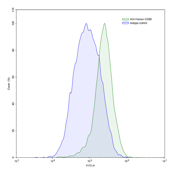 Flow-cytometry using anti-human CD80 antibody.Raji cells were stained with an irrelevant antibody (Blue Histogram) or an anti-human CD80 antibody monoclonal antibody (Catalog # HW630107 ,Green Histogram) at a concentration of 5 µg/ml for 30 mins at RT. After washing, bound antibody was detected using a FITC conjugated goat anti-mouse antibody (Catalog # MF690414) and cells analysed on a NovoCyte Flow Cytometer.