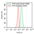 Flow-cytometry using FITC anti-Human CD80 antibody. Raji cells were stained with an irrelevant antibody  (Red Histogram) or a FITC anti-Human CD80 antibody monoclonal antibody (Catalog # HW630217 , Green Histogram) at a concentration of 5 µg/ml for 30 mins at RT. After washing, cells analysed on a NovoCyte Flow Cytometer.