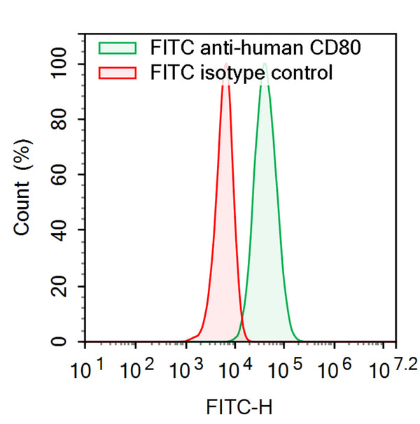 Flow-cytometry using FITC anti-Human CD80 antibody. Raji cells were stained with an irrelevant antibody  (Red Histogram) or a FITC anti-Human CD80 antibody monoclonal antibody (Catalog # HW630217 , Green Histogram) at a concentration of 5 µg/ml for 30 mins at RT. After washing, cells analysed on a NovoCyte Flow Cytometer.