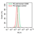 Flow-cytometry using PE anti-Human CD80 antibody. Raji cells were stained with an irrelevant antibody  (Red Histogram) or a PE anti-Human CD80 antibody monoclonal antibody (Catalog # HW630227 , Green Histogram) at a concentration of 5 µg/ml for 30 mins at RT. After washing, cells analysed on a NovoCyte Flow Cytometer.