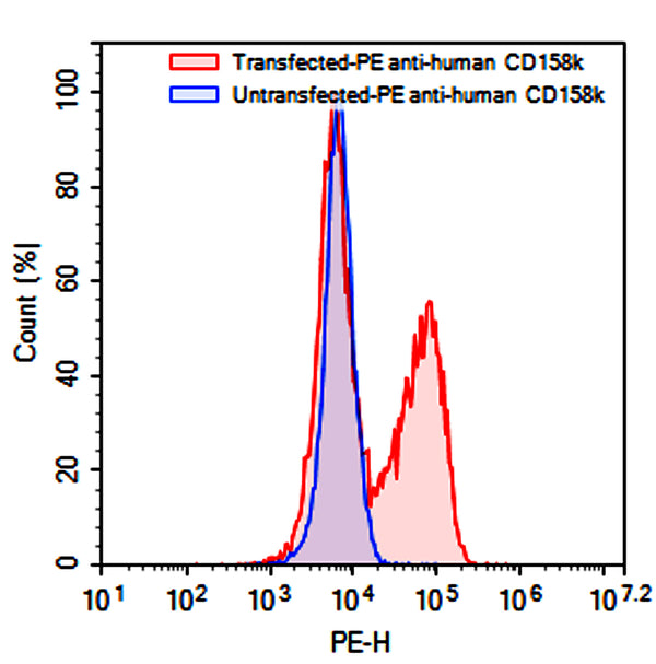 Flow-cytometry using PE anti-human CD158k antibody. Untransfected (Blue Histogram) or Transfected 293T cells (Red Histogram) were stained with a PE anti-human CD158k antibody monoclonal antibody (Catalog # HW633127) at a concentration of 5 µg/ml for 30 mins at RT. After washing, cells analysed on a NovoCyte Flow Cytometer.