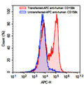 Flow-cytometry using APC anti-human CD158k antibody. Untransfected (Blue Histogram) or Transfected 293T cells (Red Histogram) were stained with an APC anti-human CD158k antibody monoclonal antibody (Catalog # HW633137) at a concentration of 5 µg/ml for 30 mins at RT. After washing, cells analysed on a NovoCyte Flow Cytometer.
