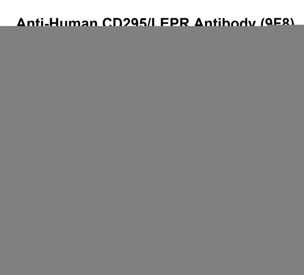 Detects Human CD295/LEPR in indirect ELISAs.