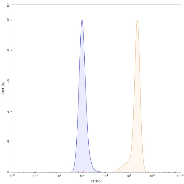 SEC-HPLC detection for Anti-Human CD147/BSG Antibody (ABS1891).