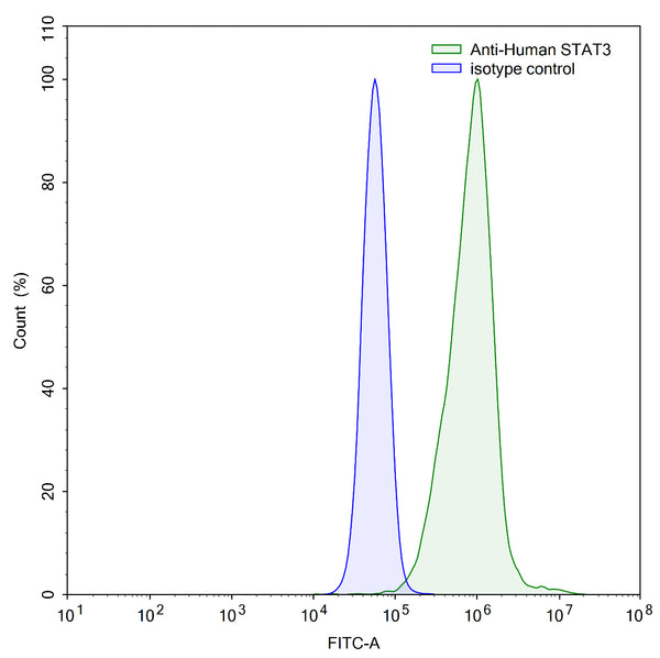 Flow-cytometry using anti-human STAT3 antibody.HepG2 cells were stained with an irrelevant antibody (Blue Histogram) or an anti-human STAT3 antibody monoclonal antibody (Catalog # HW708010 ,Green Histogram) at a concentration of 5 µg/ml for 30 mins at RT. After washing, bound antibody was detected using a FITC conjugated goat anti-human antibody (Catalog # HF690414) and cells analysed on a NovoCyte Flow Cytometer.