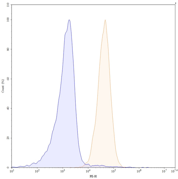 Flow-cytometry using PE anti-human CD70 antibody. Raji cells were stained with an irrelevant antibody (Blue Histogram) or an PE anti-human CD70 monoclonal antibody (Catalog HW717127, Yellow Histogram) at a concentration of 5 µg/ml for 30 mins at RT. After washing, and cells analysed on a NovoCyte Flow Cytometer.