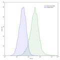 Detects Human CD86/B7-2 in indirect ELISAs.