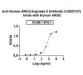 Detects Human ARG2/Arginase II in indirect ELISAs.