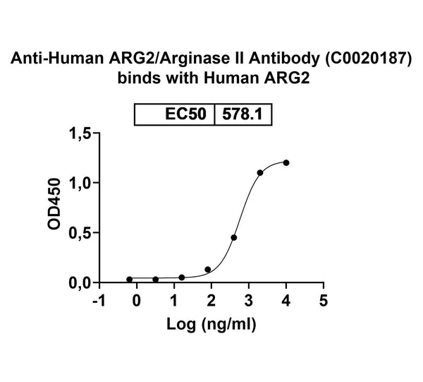 Detects Human ARG2/Arginase II in indirect ELISAs.