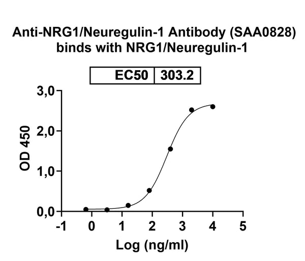 SDS-PAGE for Anti-NRG1/Neuregulin-1 Antibody (SAA0828)