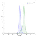 Flow-cytometry using anti-human CCL7 antibody.LPS treated THP-1 cells were stained with an irrelevant antibody (Blue Histogram) or an anti-human CCL7 antibody monoclonal antibody (Catalog # HX155107 ,Green Histogram) at a concentration of 5 µg/ml for 30 mins at RT. After washing, bound antibody was detected using a FITC conjugated goat anti-mouse antibody (Catalog # MF690414) and cells analysed on a NovoCyte Flow Cytometer.