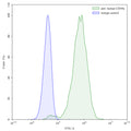 Flow-cytometry using anti-human  CD49a antibody.HeLa cells were stained with an irrelevant antibody (Blue Histogram) or an anti-human  CD49a antibody monoclonal antibody (Catalog # HX227107 ,Green Histogram) at a concentration of 5 µg/ml for 30 mins at RT. After washing, bound antibody was detected using a FITC conjugated goat anti-mouse antibody (Catalog # MF690414) and cells analysed on a NovoCyte Flow Cytometer.