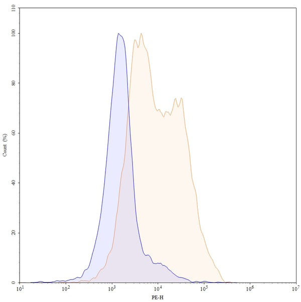 Flow-cytometry using PE anti-Mouse CD83 antibody. Unstimulated cells (blue Histogram) and 3-day LPS-stimulated Mouse spleen cells (Yellow Histogram) were stained with an FITC anti-Mouse CD83 monoclonal antibody (Catalog: HX237127) at a concentration of 5 µg/ml for 30 mins at RT. After washing, cells analysed on a NovoCyte Flow Cytometer.