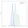 Flow-cytometry using anti-human CD125 antibody.CD125 Transfected CHO cells were stained with an irrelevant antibody (Blue Histogram) or an anti-human CD125 antibody monoclonal antibody (Catalog # HX243107 ,Green Histogram) at a concentration of 5 µg/ml for 30 mins at RT. After washing, bound antibody was detected using a FITC conjugated goat anti-mouse antibody (Catalog # MF690414) and cells analysed on a NovoCyte Flow Cytometer.