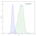 Flow-cytometry using anti-human TGFB2 antibody.TGFB2 Transfected CHO cells were stained with an irrelevant antibody (Blue Histogram) or an anti-human TGFB2 antibody monoclonal antibody (Catalog # HX861010 ,Green Histogram) at a concentration of 5 µg/ml for 30 mins at RT. After washing, bound antibody was detected using a FITC conjugated goat anti-human antibody (Catalog # HF690414) and cells analysed on a NovoCyte Flow Cytometer.