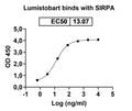 Anti-Human SIRP alpha/CD172a Reference Antibody (Lumistobart) – Figure 1 of 3