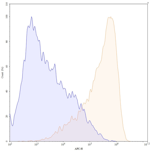 Anti-Human ROR2 Reference Antibody (Ozuriftamab) – Figure 1 of 4