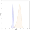 Detects ROR2/NTRKR2 in indirect ELISAs.