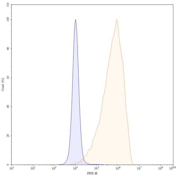 Detects ROR2/NTRKR2 in indirect ELISAs.
