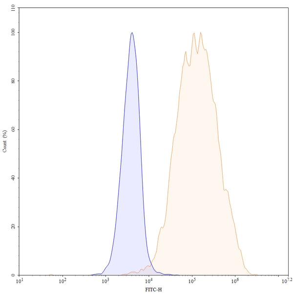 Flow-cytometry FITC using anti-human ROR2 antibody. Untransfected cells (blue Histogram) and Transfected cells (Yellow Histogram) were stained with an FITC anti-human ROR2 monoclonal antibody (Catalog HX930117) at a concentration of 5 µg/ml for 30 mins at RT. After washing, cells analysed on a NovoCyte Flow Cytometer.