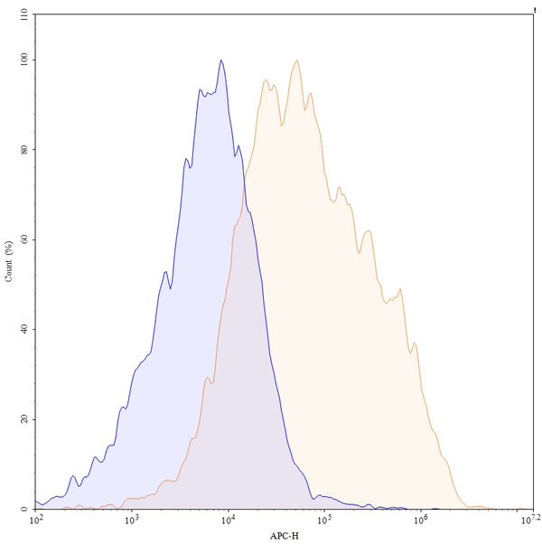 Flow-cytometry APC using anti-human ROR2 antibody. Untransfected cells (blue Histogram) and Transfected cells (Yellow Histogram) were stained with an APC anti-human ROR2 monoclonal antibody (Catalog HX930137) at a concentration of 5 µg/ml for 30 mins at RT. After washing, cells analysed on a NovoCyte Flow Cytometer.