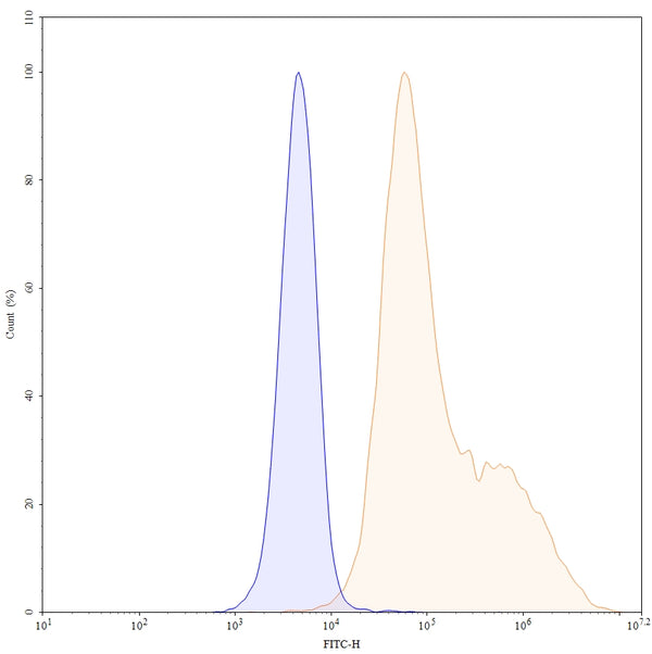 Anti-Human BCMA/TNFRSF17 Reference Antibody (Belantamab) – Figure 1 of 4
