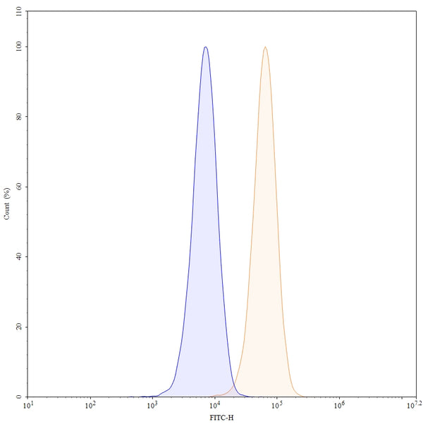 Anti-Human CD71/TFRC Reference Antibody (JST-TFR09) – Figure 1 of 4