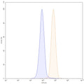 SDS-PAGE for Anti-Human CD220/INSR Antibody (SAA0334)