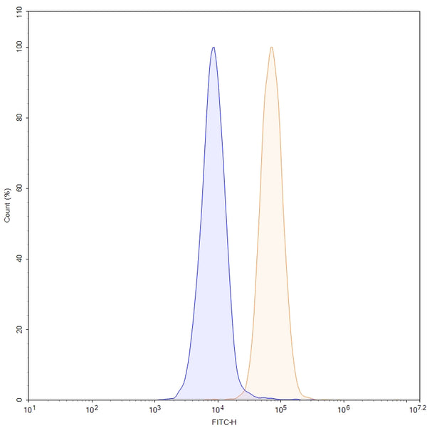 SDS-PAGE for Anti-Human CD220/INSR Antibody (SAA0334)