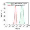 Flow-cytometry using FITC anti-Human CD20 antibody. Daudi cells were stained with an irrelevant antibody  (Red Histogram) or a FITC anti-Human CD20 antibody monoclonal antibody (Catalog # HY257517 , Green Histogram) at a concentration of 5 µg/ml for 30 mins at RT. After washing, cells analysed on a NovoCyte Flow Cytometer.