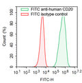 Flow-cytometry using FITC anti-Human CD20 antibody. Daudi cells were stained with an irrelevant antibody  (Red Histogram) or a FITC anti-Human CD20 antibody monoclonal antibody (Catalog # HY257617 , Green Histogram) at a concentration of 5 µg/ml for 30 mins at RT. After washing, cells analysed on a NovoCyte Flow Cytometer.