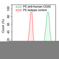 Flow-cytometry using PE anti-Human CD20 antibody. Daudi cells were stained with an irrelevant antibody  (Red Histogram) or a PE anti-Human CD20 antibody monoclonal antibody (Catalog # HY257627 , Green Histogram) at a concentration of 5 µg/ml for 30 mins at RT. After washing, cells analysed on a NovoCyte Flow Cytometer.