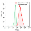 Flow-cytometry using FITC anti-Human CD20 antibody. Daudi cells were stained with an irrelevant antibody  (Green Histogram) or a FITC anti-Human CD20 antibody monoclonal antibody (Catalog # HY257717 , Red Histogram) at a concentration of 5 µg/ml for 30 mins at RT. After washing, cells analysed on a NovoCyte Flow Cytometer.