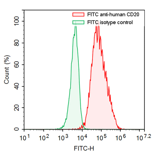 Flow-cytometry using FITC anti-Human CD20 antibody. Daudi cells were stained with an irrelevant antibody  (Green Histogram) or a FITC anti-Human CD20 antibody monoclonal antibody (Catalog # HY257717 , Red Histogram) at a concentration of 5 µg/ml for 30 mins at RT. After washing, cells analysed on a NovoCyte Flow Cytometer.