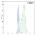 Flow-cytometry using anti-human AFP antibody.AFP Transfected CHO cells were stained with an irrelevant antibody (Blue Histogram) or an anti-human AFP antibody monoclonal antibody (Catalog # HY276010 ,Green Histogram) at a concentration of 5 µg/ml for 30 mins at RT. After washing, bound antibody was detected using a FITC conjugated goat anti-human antibody (Catalog # HF690414) and cells analysed on a NovoCyte Flow Cytometer.