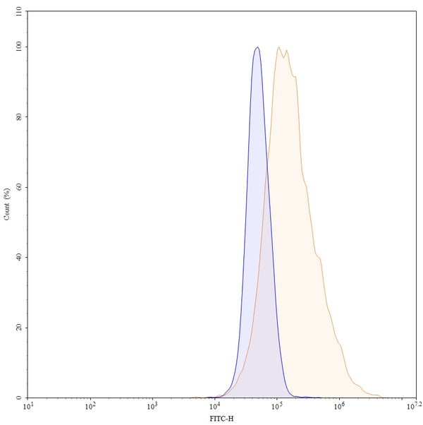 Anti-Human CD340/ERBB2/HER2 & ERBB3/HER3 Bispecific Reference Antibody (Zenocutuzumab) – Figure 1 of 3