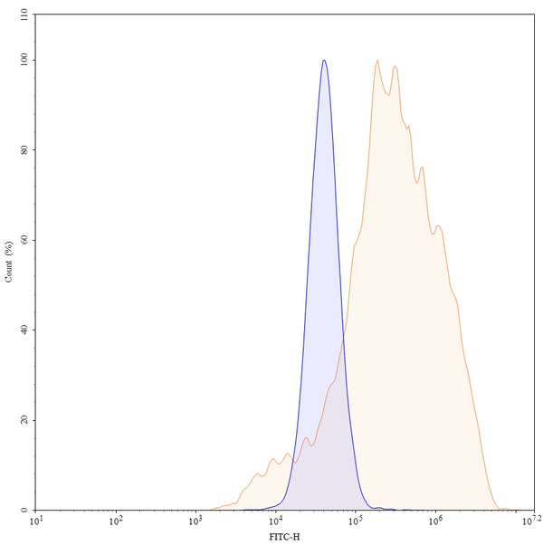Anti-Human IGF-I R/IGF1R Reference Antibody (Ganitumab) – Figure 1 of 5