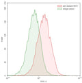 SEC-HPLC detection for Anti-Human CD221/IGF1R Antibody (2.13.2#).