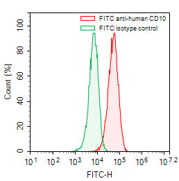 Flow-cytometry using FITC anti-human CD10/MME antibody. Daudi cells were stained with an irrelevant antibody (Green Histogram) or a FITC anti-human CD10/MME antibody monoclonal antibody (Catalog # HY401117, Red Histogram) at a concentration of 5 µg/ml for 30 mins at RT. After washing, cells analysed on a NovoCyte Flow Cytometer.