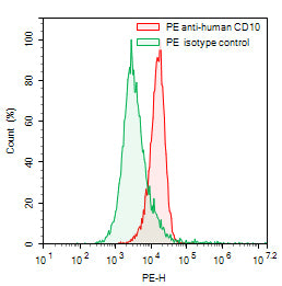 Flow-cytometry using PE anti-human CD10/MME antibody. Daudi cells were stained with an irrelevant antibody (Green Histogram) or a PE anti-human CD10/MME antibody monoclonal antibody (Catalog # HY401127, Red Histogram) at a concentration of 5 µg/ml for 30 mins at RT. After washing, cells analysed on a NovoCyte Flow Cytometer.