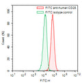 Flow-cytometry using FITC anti-human CD28 antibody. RPMI-8226 cells were stained with an irrelevant antibody (Green Histogram) or a FITC anti-human CD28 antibody monoclonal antibody (Catalog # HY422117, Red Histogram) at a concentration of 5 µg/ml for 30 mins at RT. After washing, cells analysed on a NovoCyte Flow Cytometer.