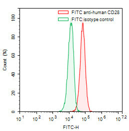 Flow-cytometry using FITC anti-human CD28 antibody. RPMI-8226 cells were stained with an irrelevant antibody (Green Histogram) or a FITC anti-human CD28 antibody monoclonal antibody (Catalog # HY422117, Red Histogram) at a concentration of 5 µg/ml for 30 mins at RT. After washing, cells analysed on a NovoCyte Flow Cytometer.