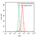 Flow-cytometry using PE anti-human CD28 antibody. RPMI-8226 cells were stained with an irrelevant antibody (Green Histogram) or a PE anti-human CD28 antibody monoclonal antibody (Catalog # HY422127, Red Histogram) at a concentration of 5 µg/ml for 30 mins at RT. After washing, cells analysed on a NovoCyte Flow Cytometer.