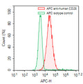 Flow-cytometry using APC anti-human CD28 antibody. RPMI-8226 cells were stained with an irrelevant antibody (Green Histogram) or an APC anti-human CD28 antibody monoclonal antibody (Catalog # HY422137, Red Histogram) at a concentration of 5 µg/ml for 30 mins at RT. After washing, cells analysed on a NovoCyte Flow Cytometer.