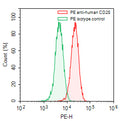 Flow-cytometry using PE anti-human CD28 antibody. RPMI-8226 cells were stained with an irrelevant antibody (Green Histogram) or a PE anti-human CD28 antibody monoclonal antibody (Catalog # HY422227, Red Histogram) at a concentration of 5 µg/ml for 30 mins at RT. After washing, cells analysed on a NovoCyte Flow Cytometer.