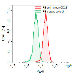 Flow-cytometry using PE anti-human CD28 antibody. RPMI-8226 cells were stained with an irrelevant antibody (Green Histogram) or a PE anti-human CD28 antibody monoclonal antibody (Catalog # HY422227, Red Histogram) at a concentration of 5 µg/ml for 30 mins at RT. After washing, cells analysed on a NovoCyte Flow Cytometer.