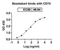 Anti-Human CD74 Reference Antibody (Bezetabart) – Figure 1 of 2