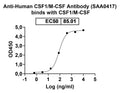 Detects CSF1/M-CSF in indirect ELISA.