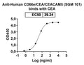 Anti-Human CD66e/CEA/CEACAM5 Reference Antibody (SGM 101) – Figure 1 of 5